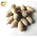 Vietnamese Roasted and Salted Cashew Nuts Wholesale 500g